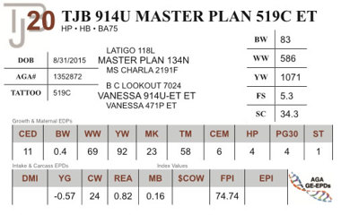 Lot 20 - TJB 914U MASTER PLAN 519C ET